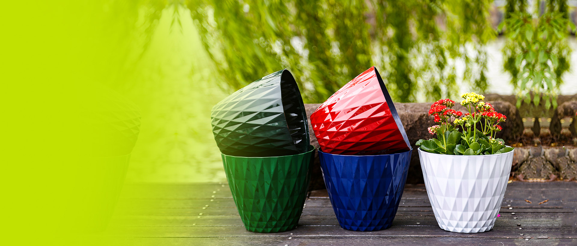 Highlighting the diverse styles of flower pots