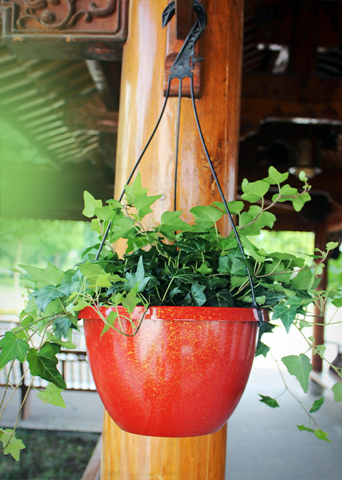 Hanging basket