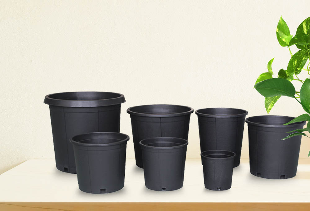 Gallon Pot
