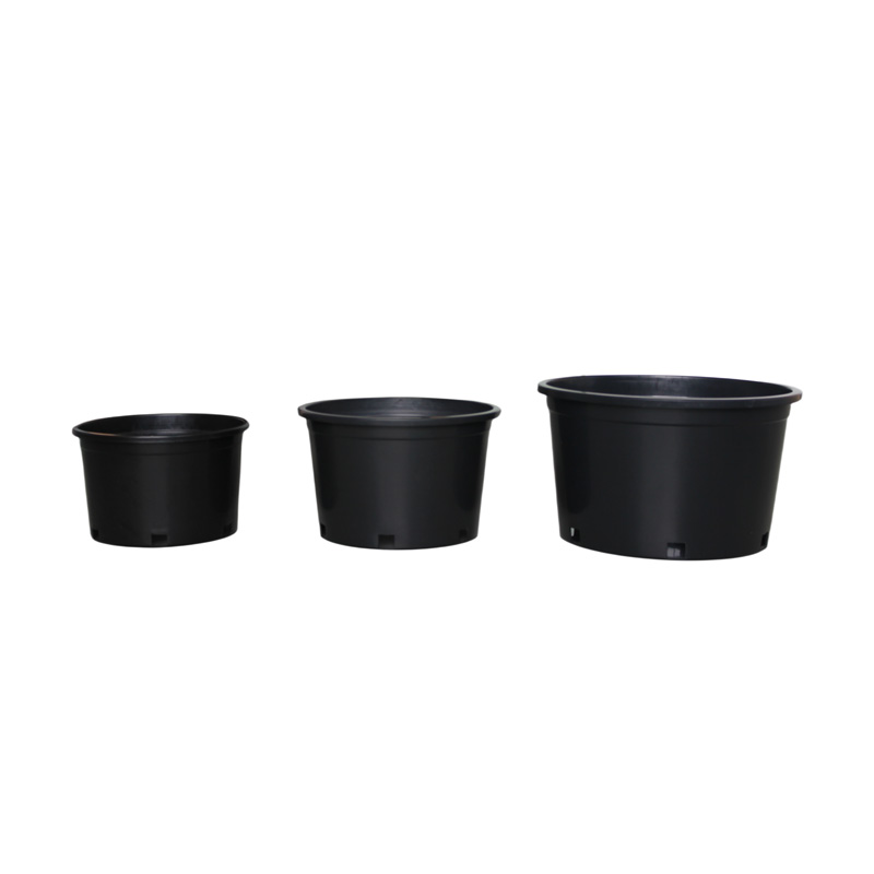 Low Gallon Pot