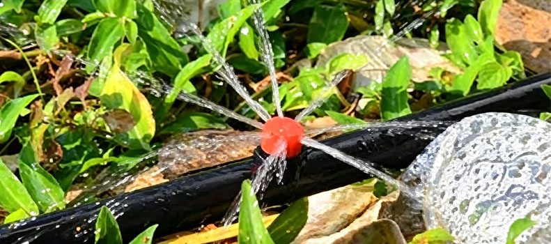 Plastic Dripper